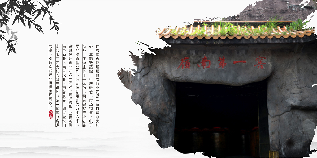 廣東南臺控股股份有限公司