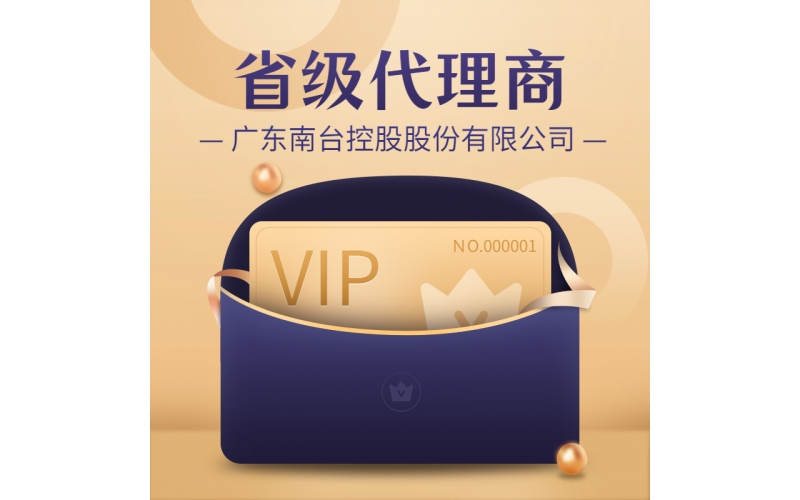 南臺控股-省級分公司